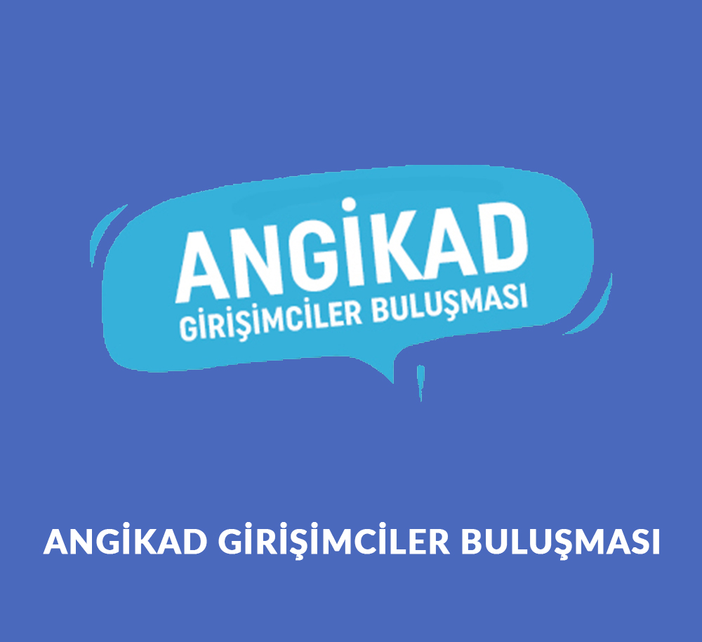 16-81
